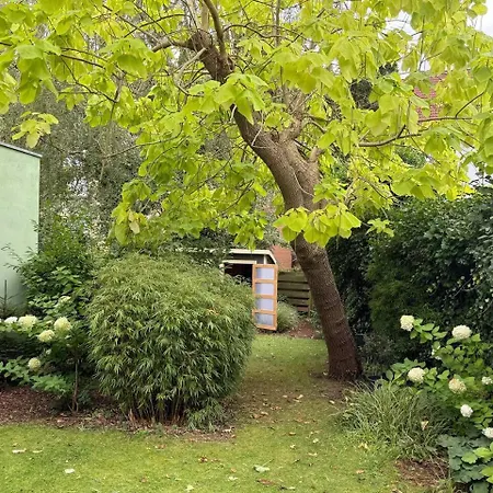 Renovierte In Flensburg, Johannis 59 *