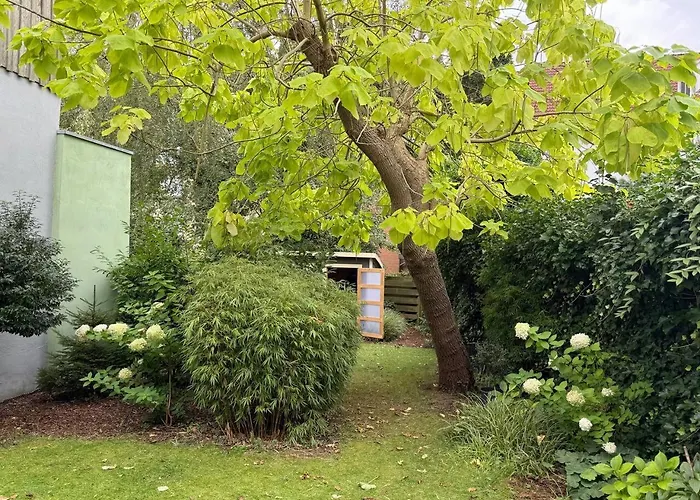 Renovierte In Flensburg, Johannis 59 *